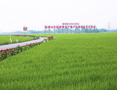 崇州10万亩良田综合刷新工程项目